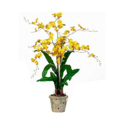 Орхідея Онцидіум 1 гілка, жовтий