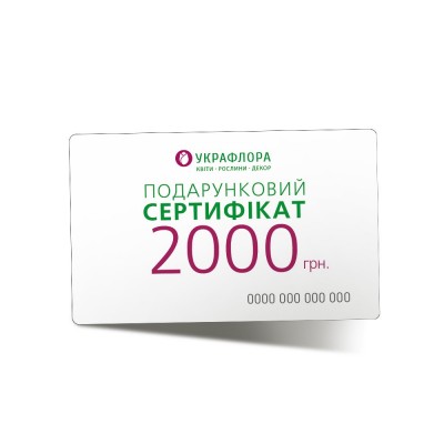 Подарунковий сертифікат 2 000 грн.