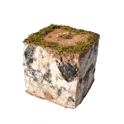 Декоративна підставка з мохом куб